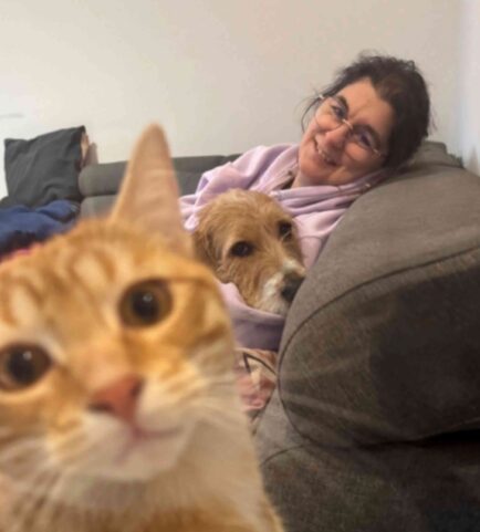 {{brizy_dc_image_alt imageSrc=