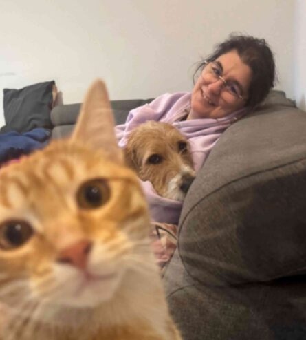 {{brizy_dc_image_alt imageSrc=