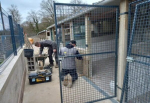 Aspad refuge chiens