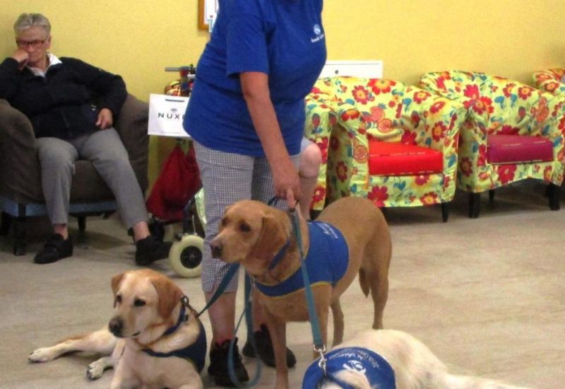 chien thérapie pour Le Cercle des aînés