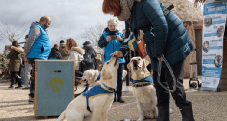 Handi'chiens Val de Loire