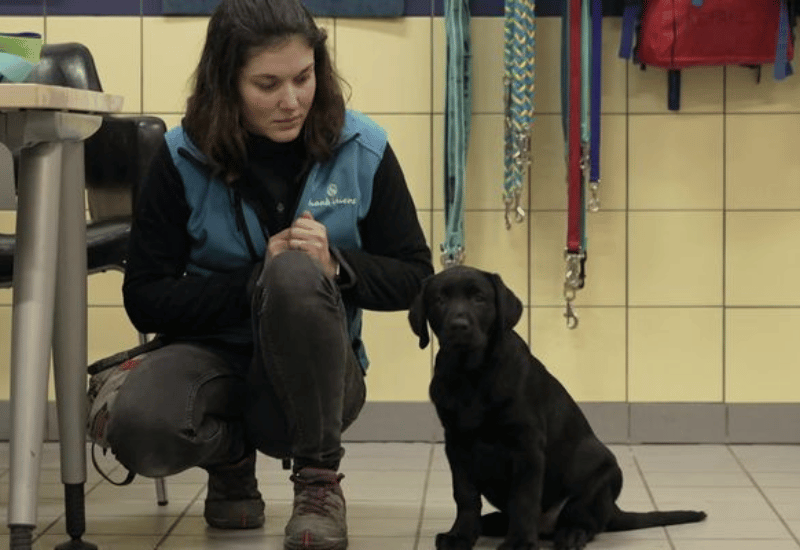 Handi'chiens Val de Loire