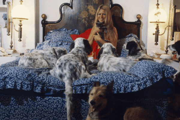 Brigitte bardot passion des animaux