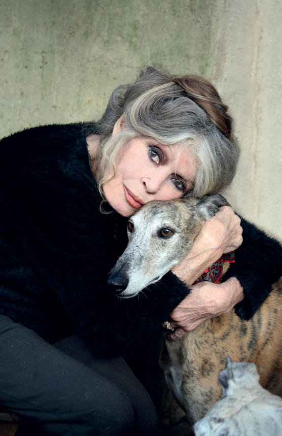 Brigitte bardot passion des animaux