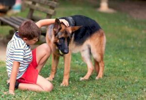 garde animaux compagnie pendant vacances