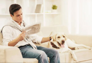 certificat d'engagement animaux compagnie
