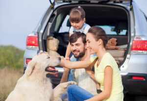 voyagaer avec un chien en camping-car