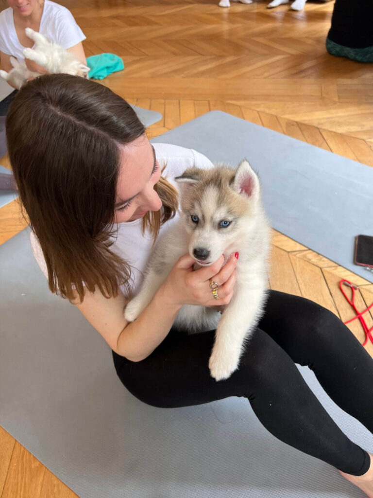 Yoga avec des Chiots