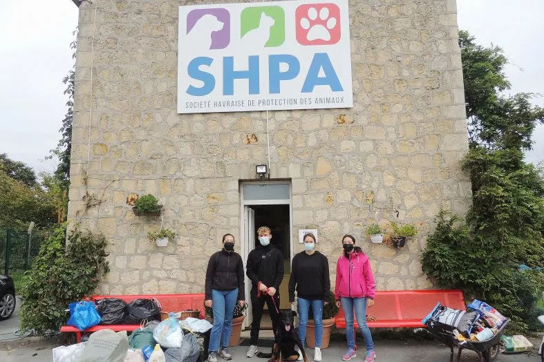 abandon des animaux en france