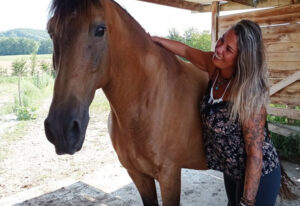 Sauvetage de chevaux maltraités : L’initiative du Refuge Cheval Nature Sauvetage de chevaux maltraités