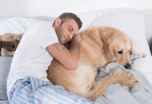 Dormir avec son animal