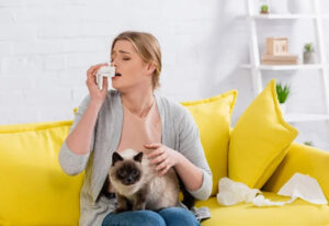 Vaccin Allergie Chats