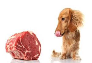 Risques de Viande Crue pour Chiens