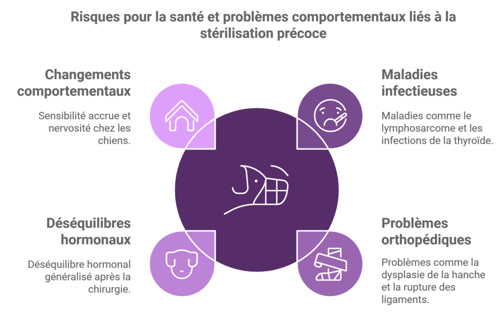 Chien énervé après castration