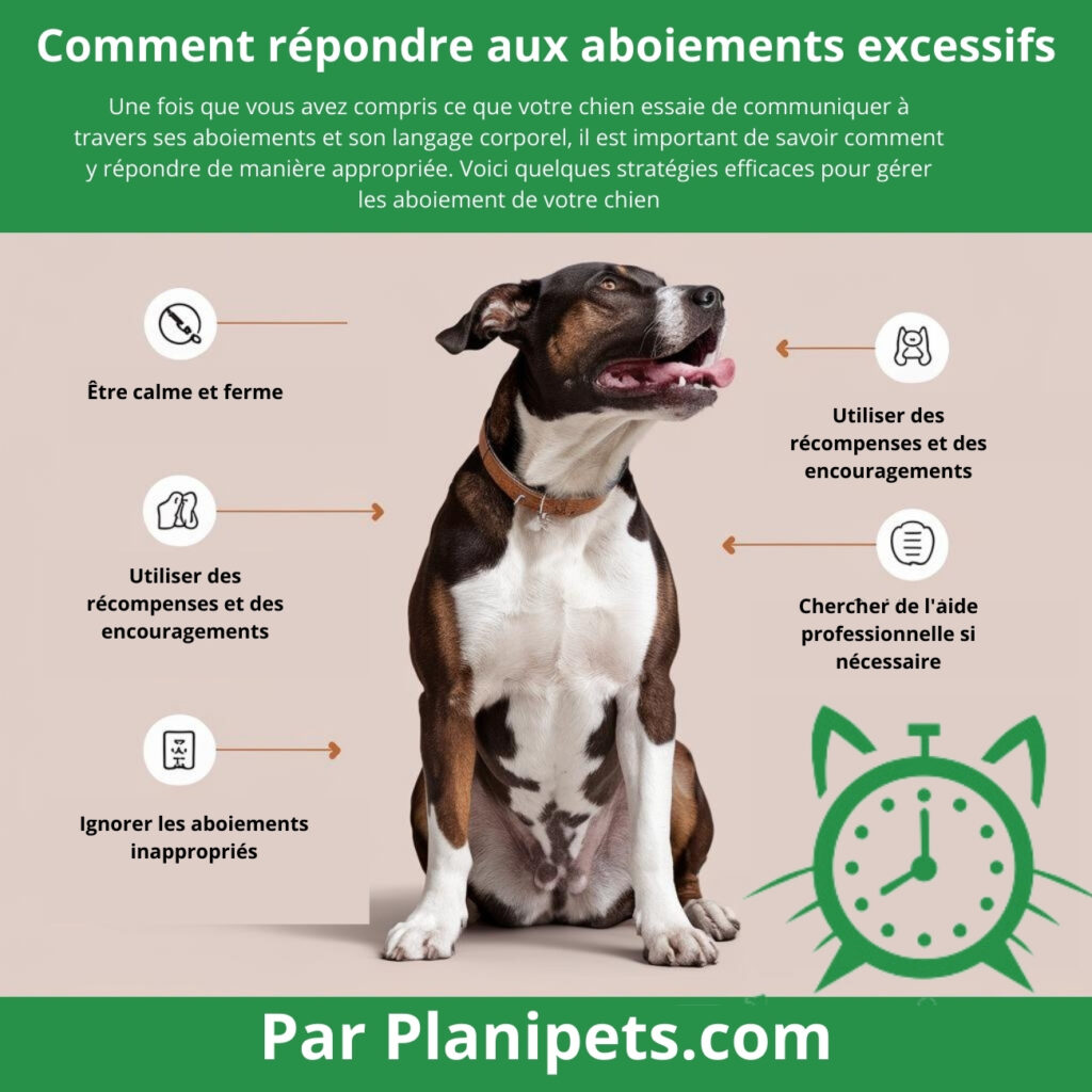 comment répondre aux aboiement infographie