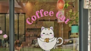 rouen coffe car bar a chat adoptable a ouvert ses portes