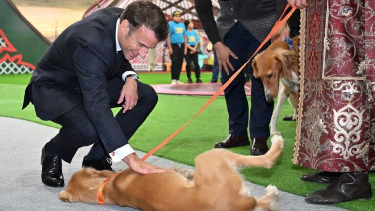 Emmanuel Macron caressant un lévrier kazakh lors d'une visite officielle