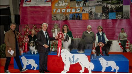 exposition canine de tarbes dimanche le 17 novembre