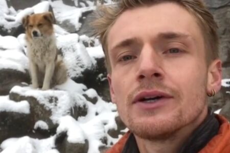 un chien errant sauve un randonneur