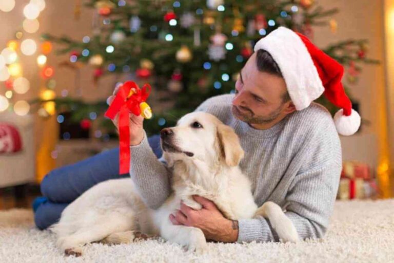 Adopter à Noël, c’est possible ! Voici les 5 règles d’or pour éviter les erreurs fatales Une famille joyeuse avec un chiot sous un sapin de Noël, illustrant l’adoption responsable d’un animal pendant les fêtes de fin d’année.