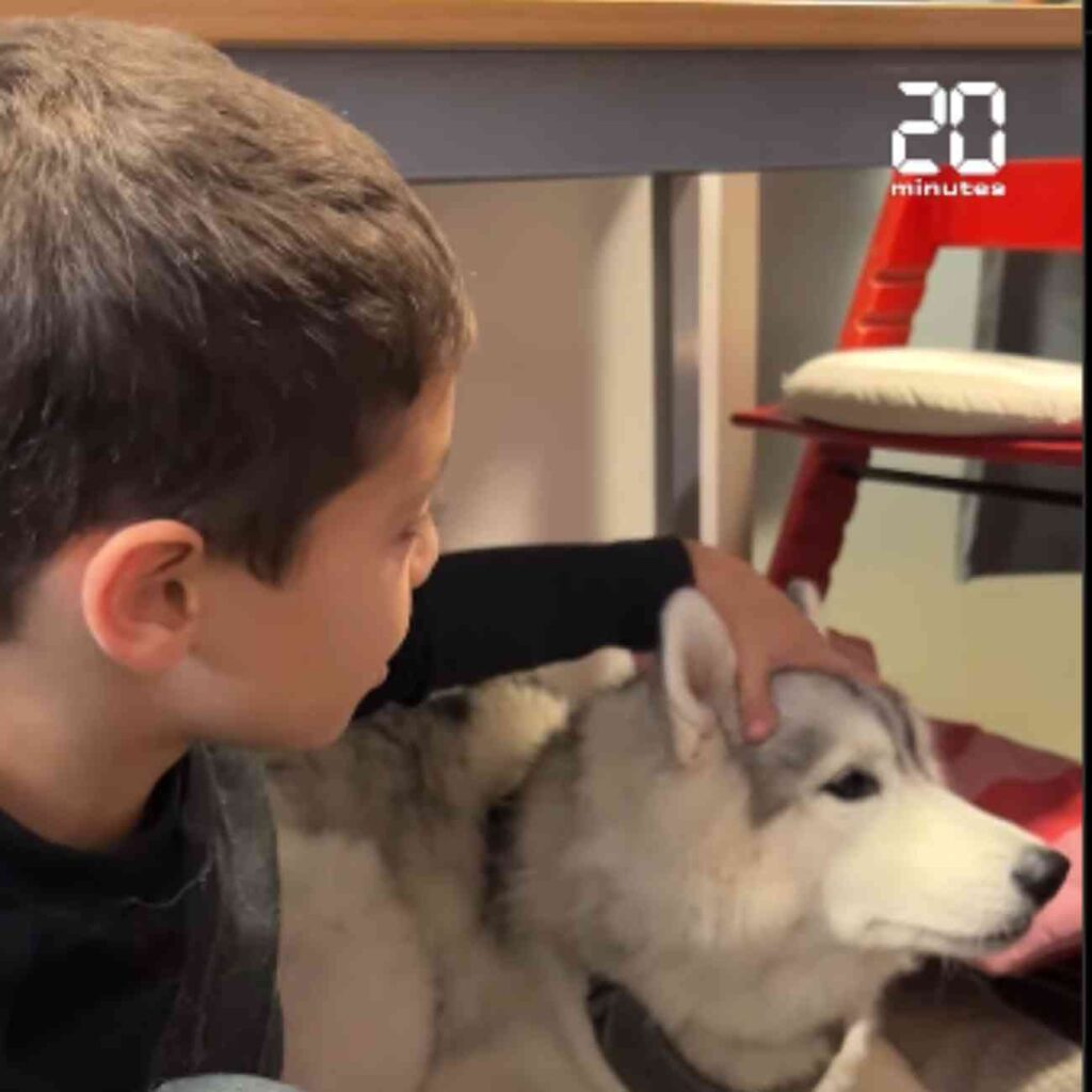 Un élève interagit avec un chien husky dans une salle de classe, illustrant l'initiative de médiation animale de l'école La Fourmi à Lyon.