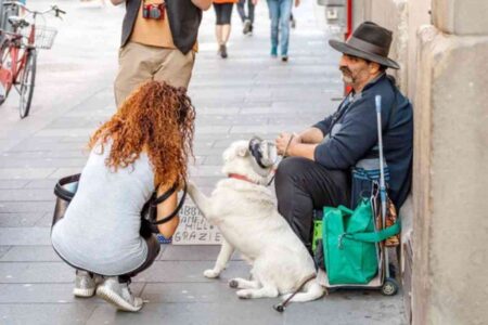Un homme assis sur un banc dans un parc avec son chien à ses côtés, symbolisant le lien entre les animaux de compagnie et le bien-être social dans le contexte du chômage longue durée.
