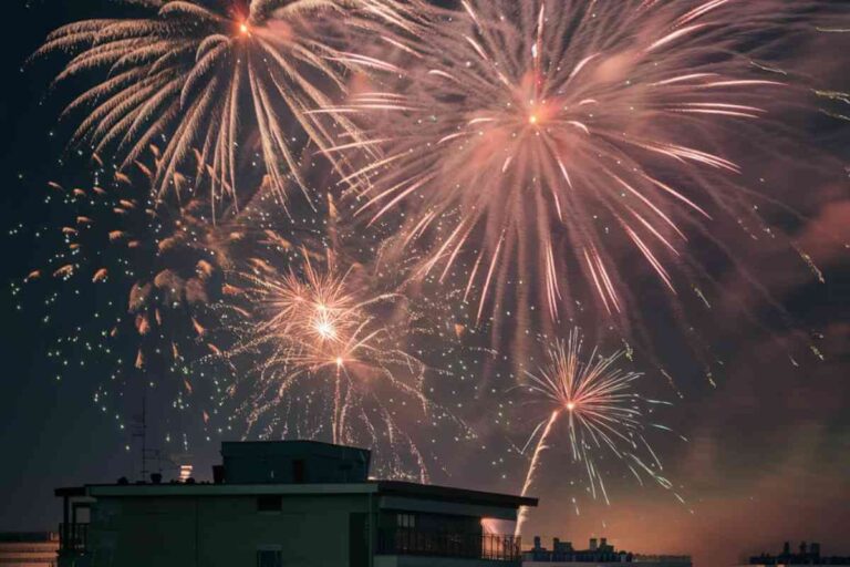 Feux d'artifice illuminant le ciel nocturne, symboles de fête mais source de stress pour les animaux domestiques et la faune sauvage