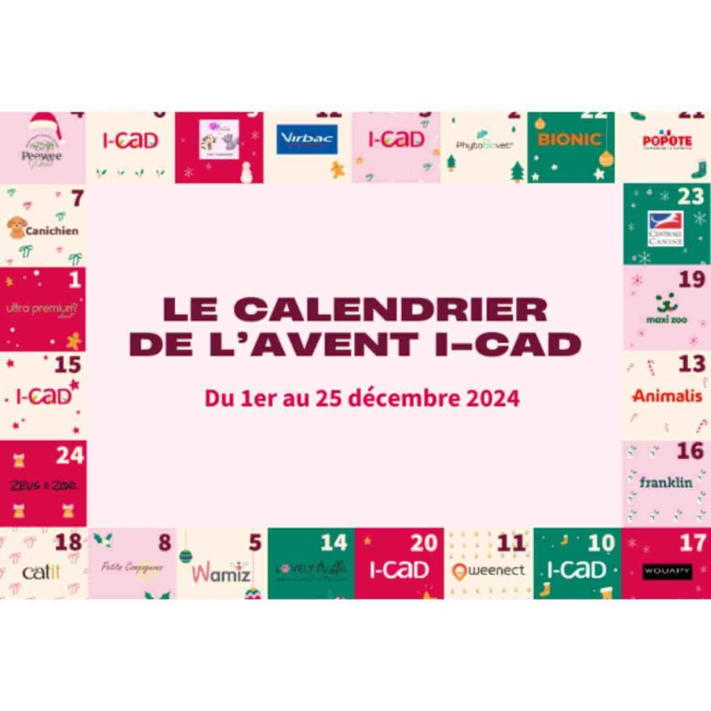 Calendrier de l’Avent I-CAD 2024