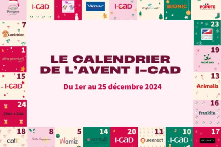 Participez au calendrier de l’avent I-CAD 2024 et gâtez vos animaux comme jamais ! Participez au Calendrier de l’Avent I-CAD 2024 et Gâtez Vos Animaux comme Jamais !