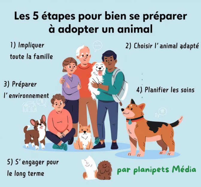 infographie rex minou