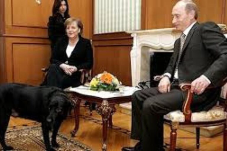 Angela Merkel et Vladimir Poutine en 2007 avec le labrador Koni, incident diplomatique évoqué dans les mémoires de Merkel