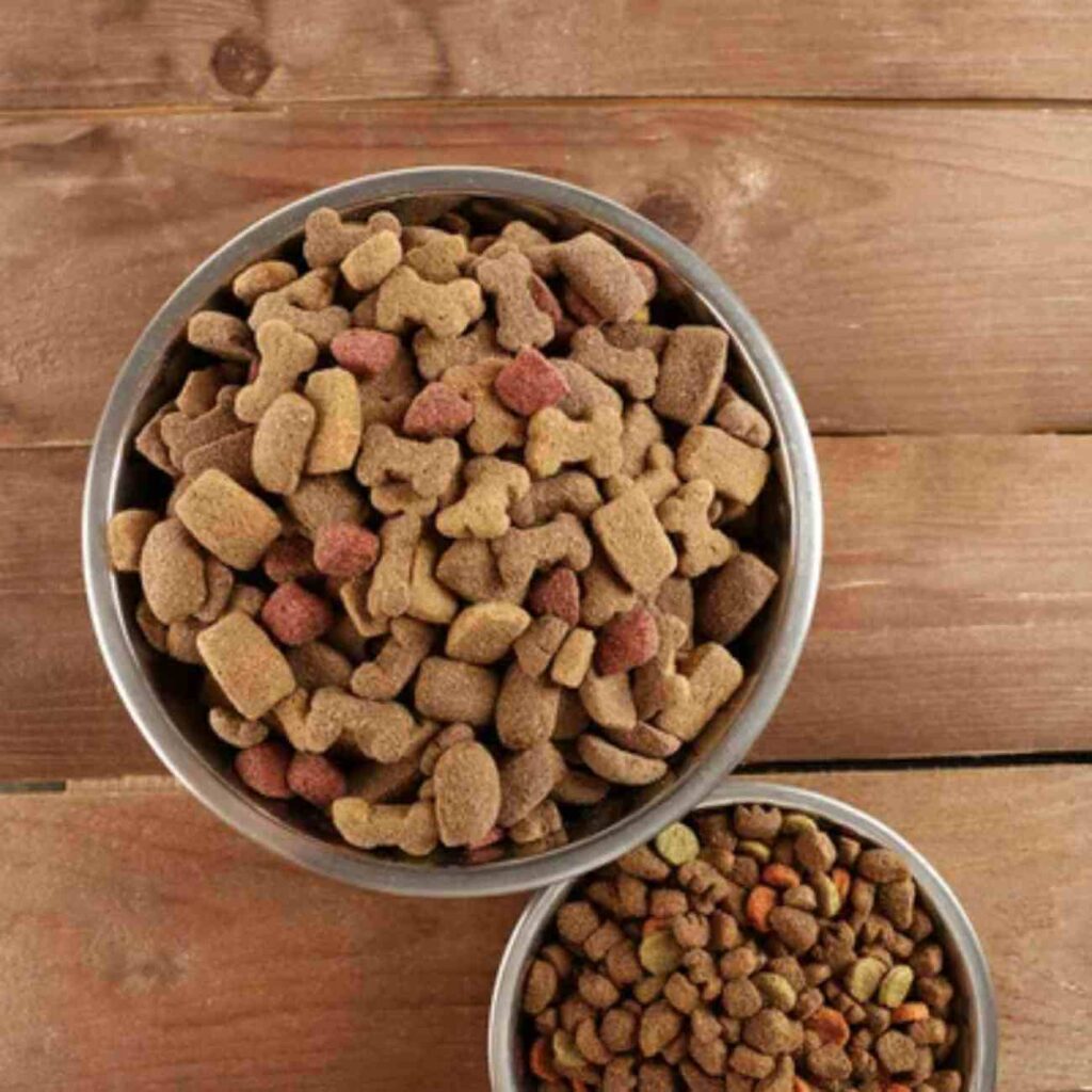 Bol de croquettes pour chiens et chats posé sur une table en bois, représentant les produits concernés par un rappel massif en France en raison d'une contamination par des salmonelles.