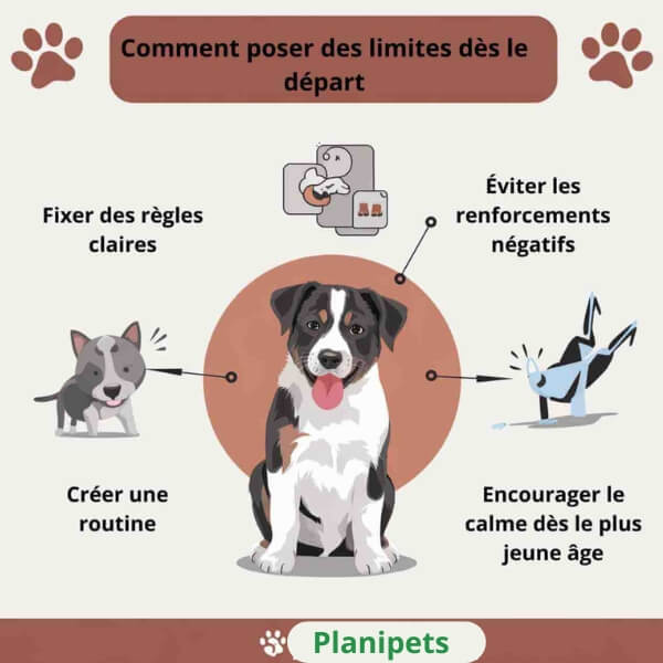 Aboiement chiot