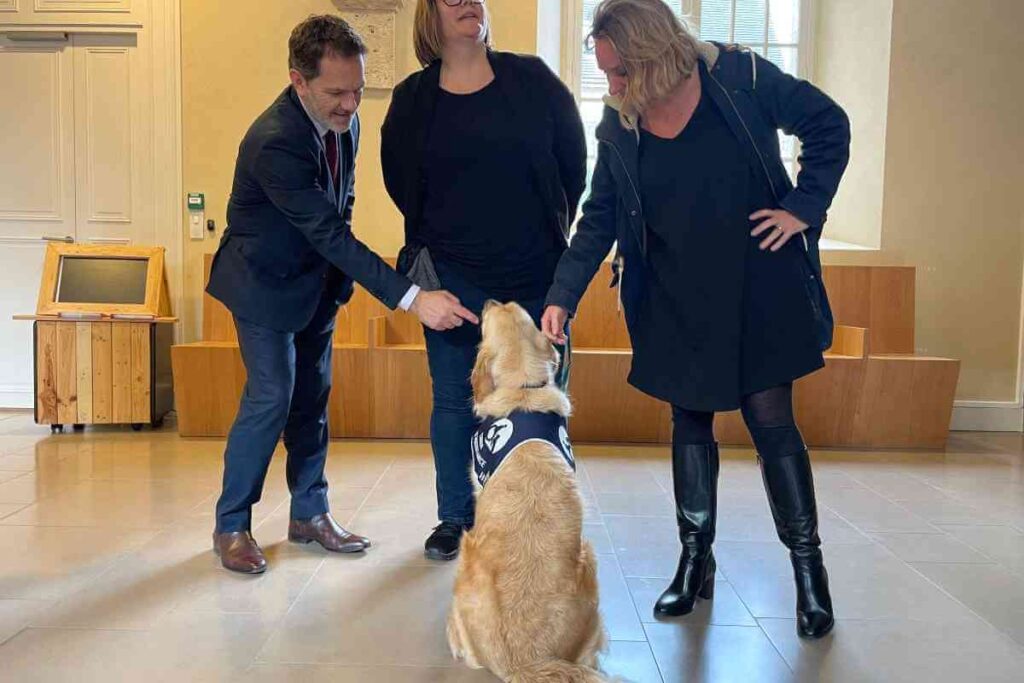 Team’s, le chien d’assistance judiciaire, accompagné par les agents du tribunal judiciaire de Chartres, prêt à accueillir les victimes.