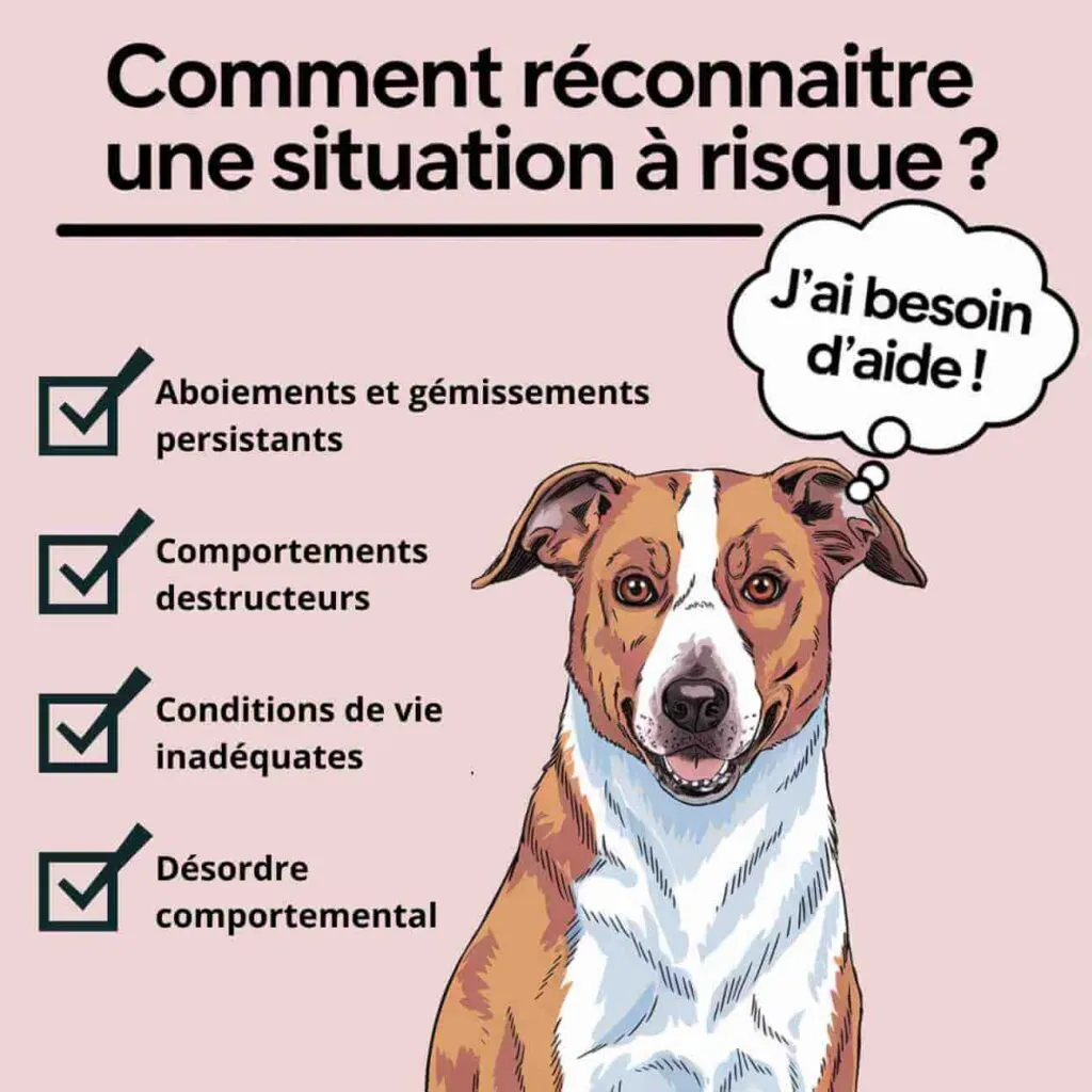 Illustration présentant un chien avec une liste de signes permettant de reconnaître une situation à risque, comme des aboiements persistants, un comportement destructeur, ou des conditions de vie inadaptées.