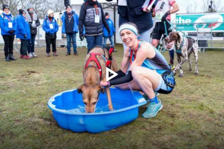 Participants du canicross au Cross Ouest-France au Mans, coureurs et chiens se préparent sur la ligne de départ dans une ambiance sportive et conviviale