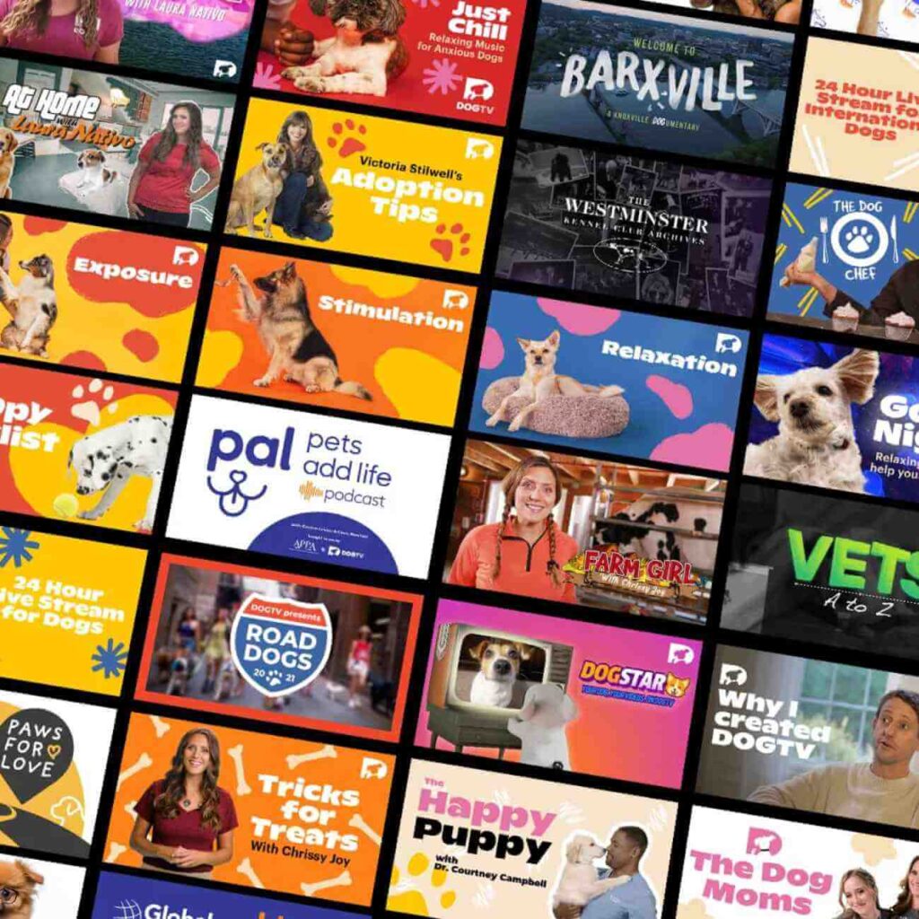 Mosaïque de programmes disponibles sur Dog TV, illustrant la diversité des contenus proposés pour les chiens.