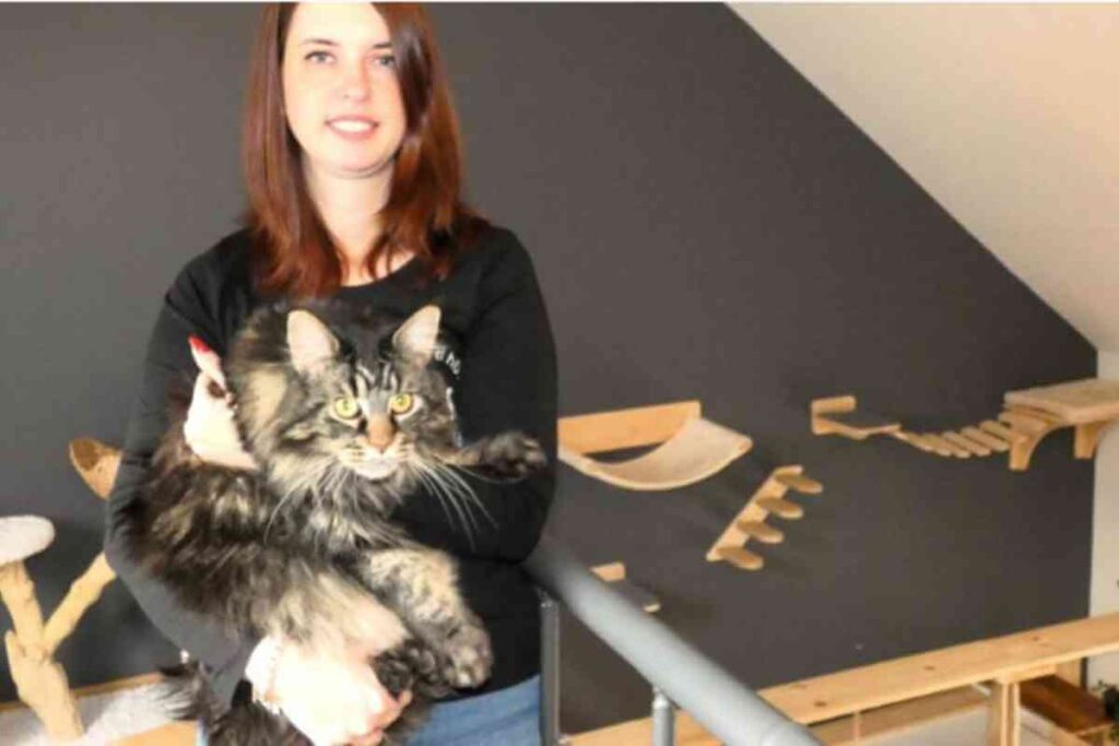 Une femme caresse un chat dans un hôtel pour félins à Marigny-le-Châtel, mettant en avant le confort et le bien-être offerts aux animaux.