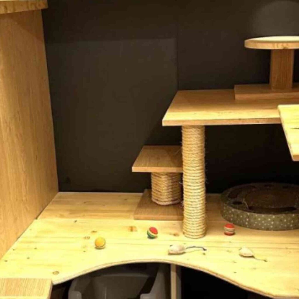 Structure en bois avec griffoirs et espaces de repos dans un hôtel pour chats à Marigny-le-Châtel, offrant confort et divertissement.