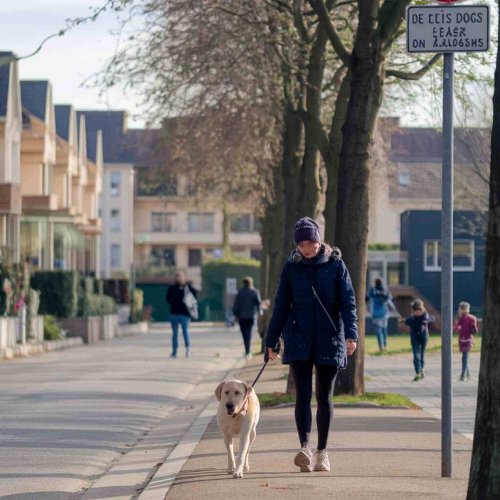 Photo illustrative d’un propriétaire promenant son chien en laisse dans une rue de Joinville-le-Pont, reflétant la nouvelle réglementation municipale.