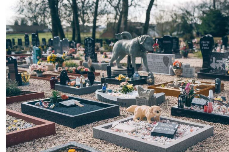 Ce cimetière animalier à Dijon va bouleverser les cœurs ! cimetière à dijon pour les animaux bientot