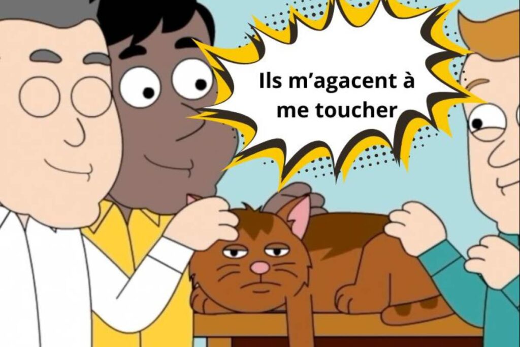 rex et minou calin caresse, ce que ne te dit pas ton chien et ton chat