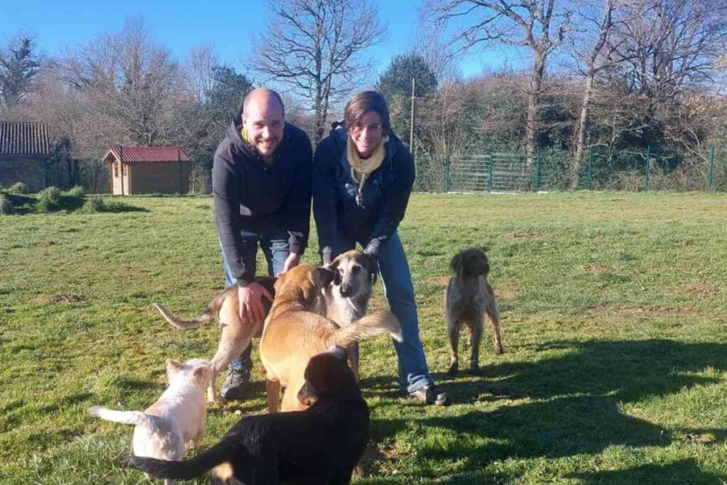 Un comportementaliste animalier jouant avec des chiens dans un parc verdoyant, illustrant son travail au sein de la pension canine.