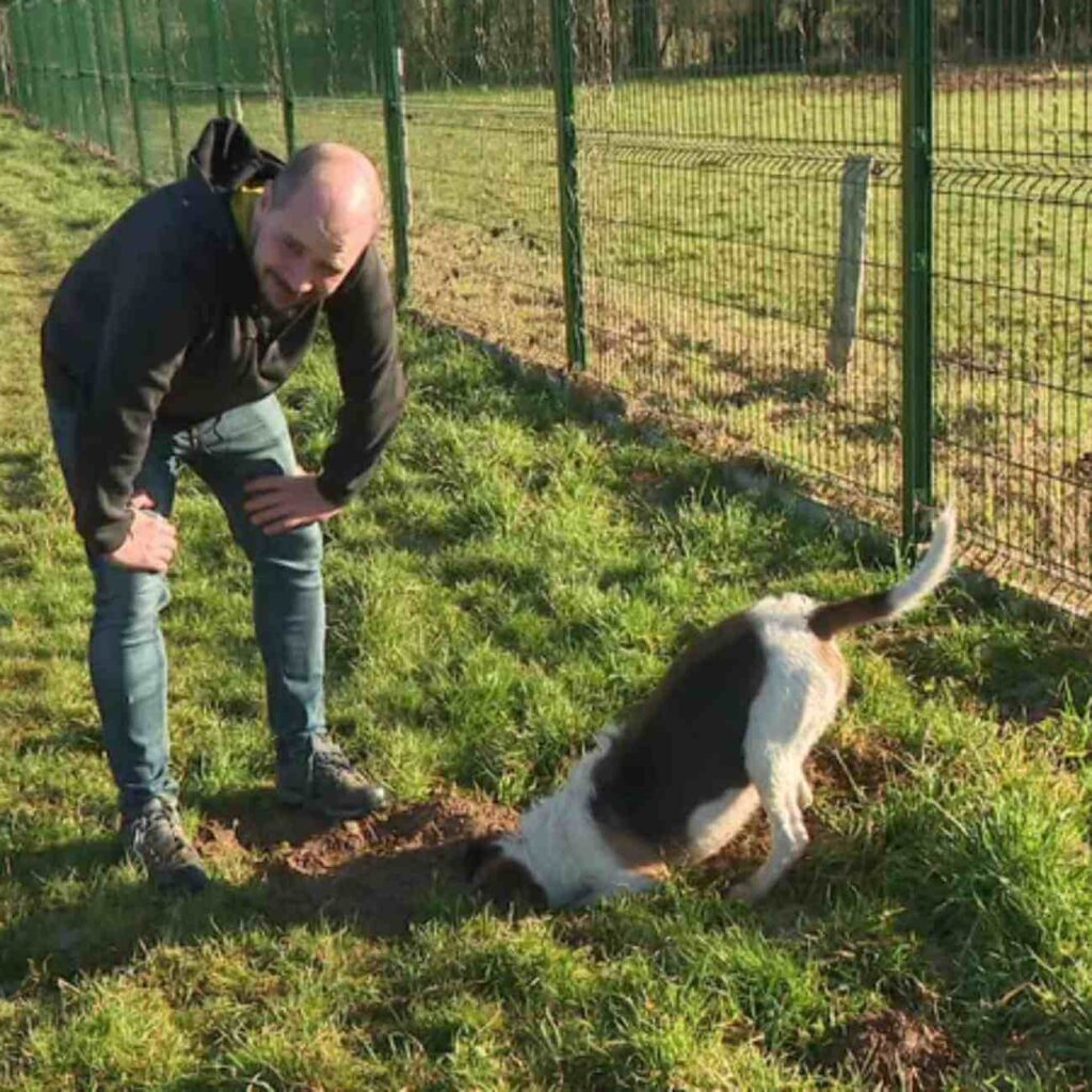 Denis Latour observant un chien dans son parc en Haute-Vienne, illustrant son approche comportementaliste.