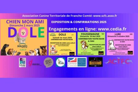 Affiche promotionnelle de l’exposition canine nationale à Dole, mettant en avant les dates, le lieu et les partenaires de l’événement.