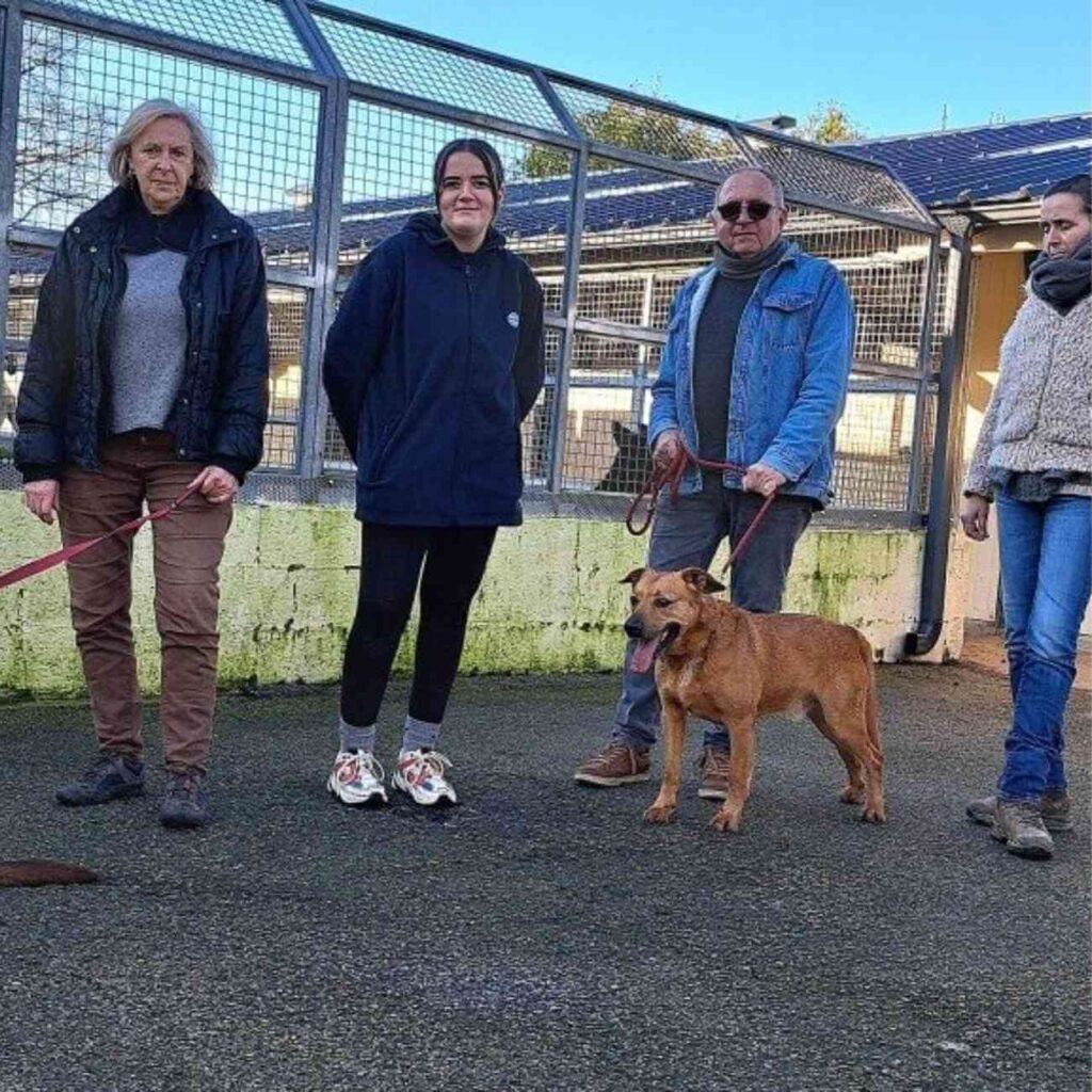 Les membres de la SPA de Pontivy posent devant le refuge de Saint-Nizon