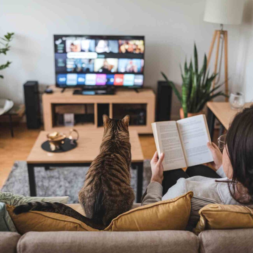 Un chat assis sur un canapé fixe un écran de télévision diffusant une scène animée.