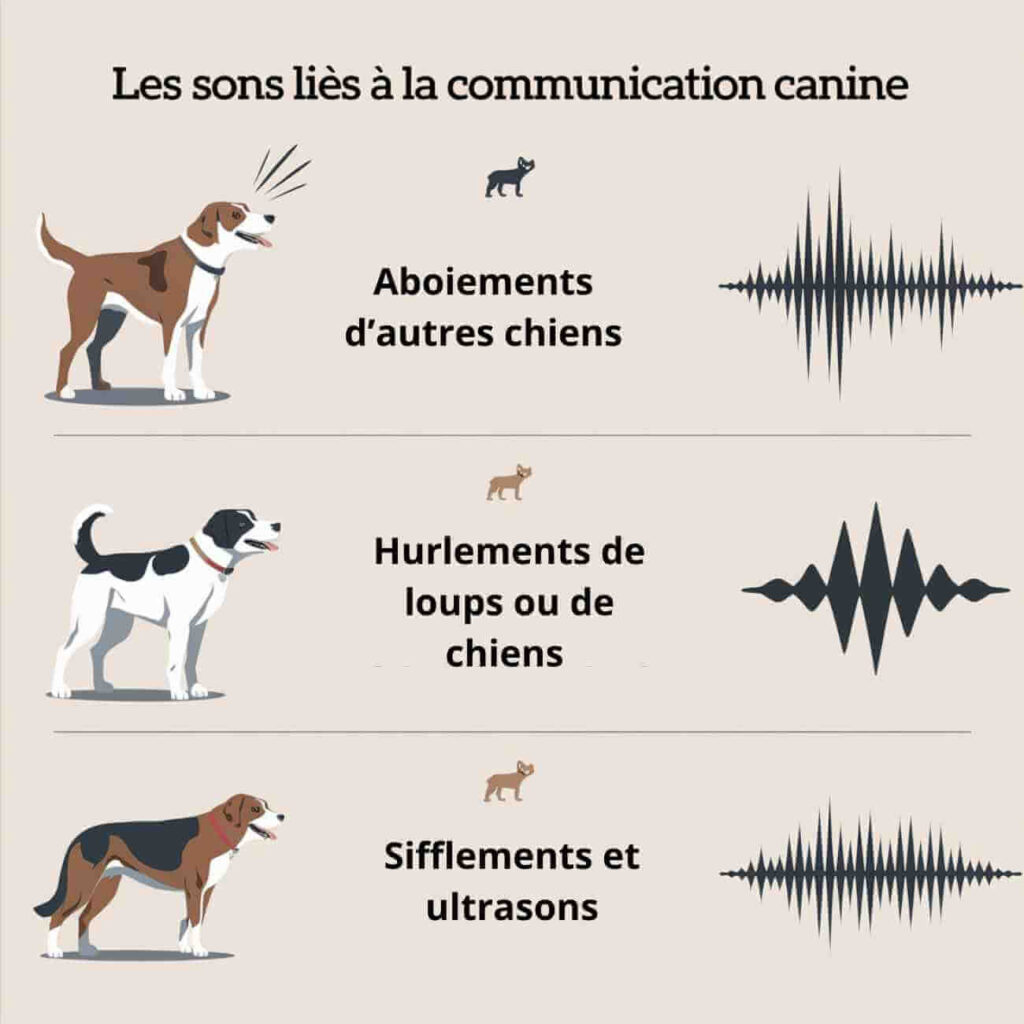 déclencheurs aboiement chien