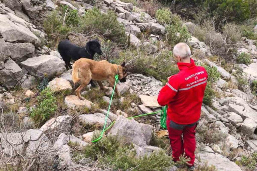 Un pompier secouriste en tenue rouge porte secours à deux chiens bloqués sur une falaise rocheuse de la montagne Sainte-Victoire.