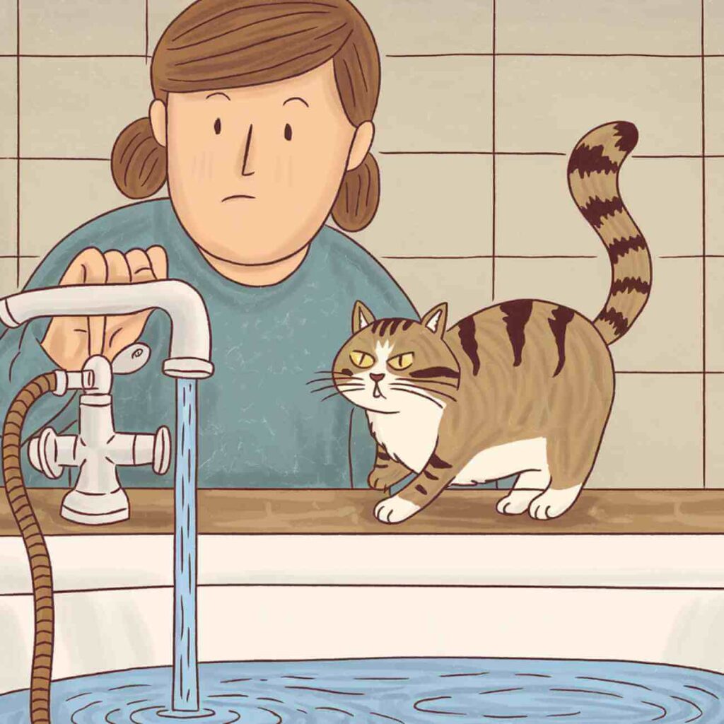 Illustration d’un chat essayant d’éviter le bain en s’éloignant du bord de la baignoire, tandis que son propriétaire tente de l’y faire entrer.